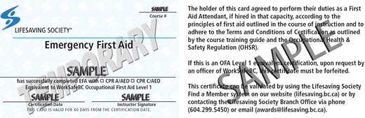 Lifesaving Society Emergency First Aid (temporary) (OFA Level 1 Equivalent) ticket