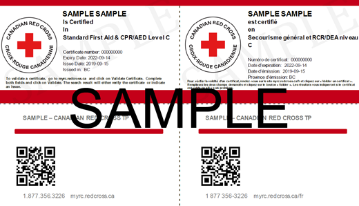 Canadian Red Cross Standard First Aid & CPR/AED Level C e-certificate ticket
