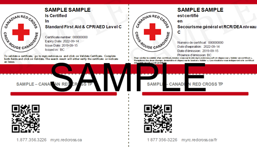 Canadian Red Cross Standard First Aid & CPR/AED Level C e-certificate
