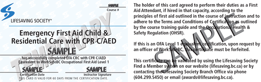 Lifesaving Society Emergency First Aid Child & Residential Care (temporary) (OFA Level 1 Equivalent) ticket