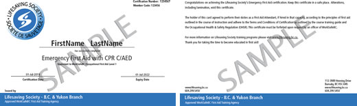 Lifesaving Society Emergency First Aid CPR C/AED (OFA Level 1 Equivalent)