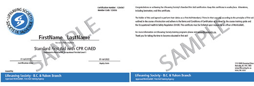 Lifesaving Society Standard First Aid CPR C/AED (OFA certificate