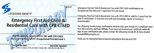 Lifesaving Society - Emergency First Aid Child & Residential Care with CPR C/AED