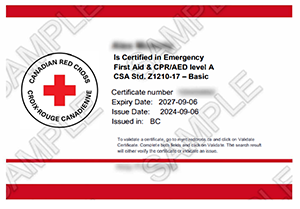 Image of Canadian Red Cross Emergency First Aid & CPR/AED level A certificate