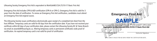 Lifesaving Society Emergency First Aid Basic temporary certificate