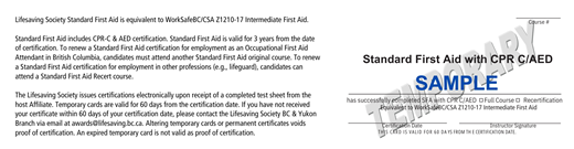 Lifesaving Society Standard First Aid Child with CPR C/AED temporary certificate