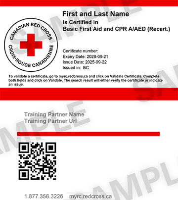 Canadian Red Cross Basic First Aid and CPR A/AED (Recertification) certificate