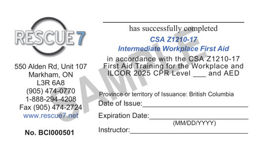 Rescue 7 intermediate workplace first aid sample certificate
