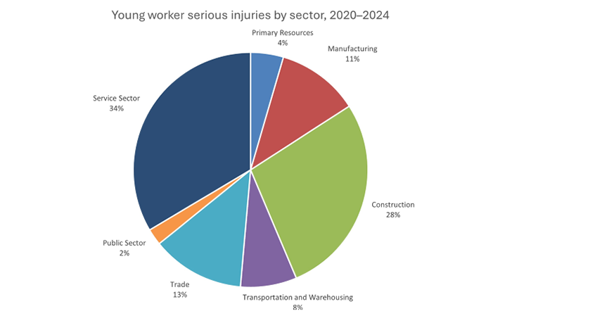 Young worker serious injuries by sector, 2020–2024