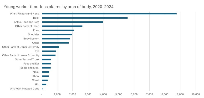 Young worker time-loss claims by area of body, 2020–2024