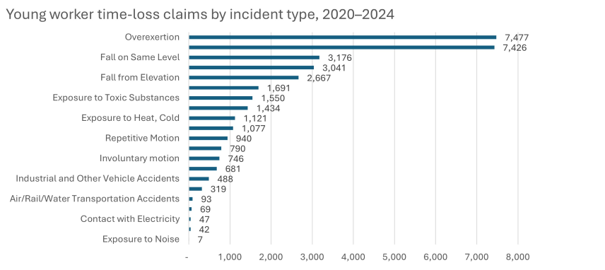 Young worker time-loss claims by incident type, 2020–2024