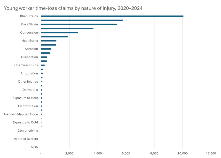 Young worker time-loss claims by nature of injury, 2020–2024