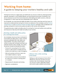 Working from home: A guide to keeping workers healthy and safe
